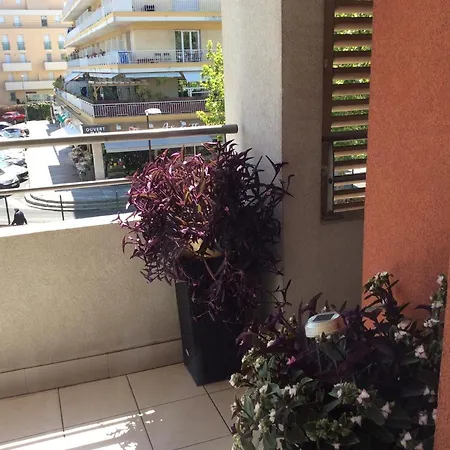 Bord De Appartement